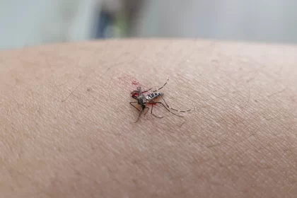 Dengue se dispara en Aguascalientes