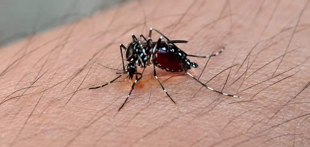 Dengue se dispara en Aguascalientes