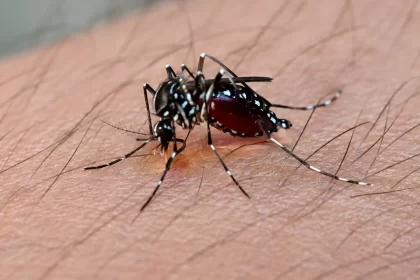 Dengue se dispara en Aguascalientes