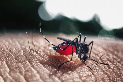 estiman más de 3 mil contagios no detectados